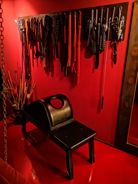 Domina | BDSM: Bild Domina Lady Britt in Wels