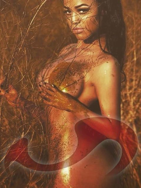 Bild zu App.4, Top-Trans, La Diabla