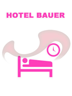 Stundenhotels: Bild Hotel Bauer in Wien
