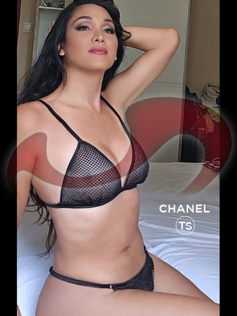 Transsexuelle | Shemales: Bild  TS Chanel   in Wien