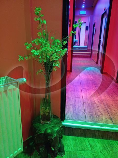 Laufhaus | Laufhuser: Bild Laufhaus Sexparadies in Wien