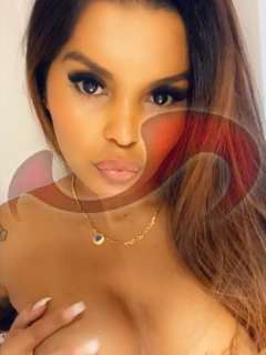 Bild zu TS Bruna Megascharfe Shemale, erwartet Dich mit ihrem Luststab! ab 20.06!!!