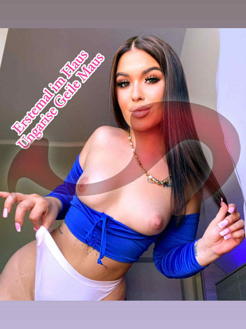 Girls | Models | Callgirls: Bild Karina, heie junge Ungarin ab Sofort  wieder im Laufhaus Liezen ! in Liezen