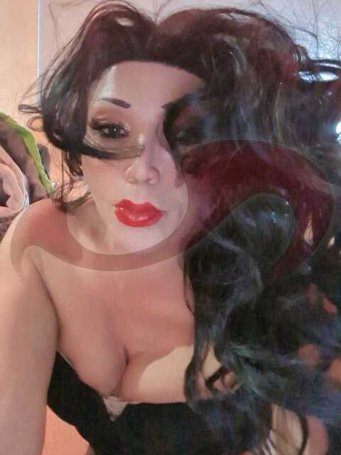 Transsexuelle | Shemales: Bild Trans Eva in Wels