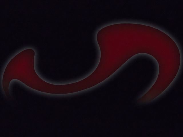 Bild zu Liebesperle Donna