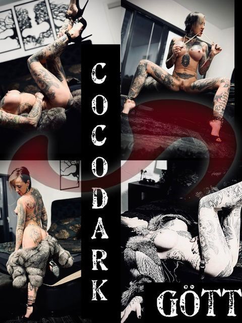 Girls | Models | Callgirls: Bild Coco Dark in Ried im Traunkreis