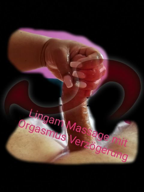 Girls | Models | Callgirls: Bild Maria Brown in Braunau