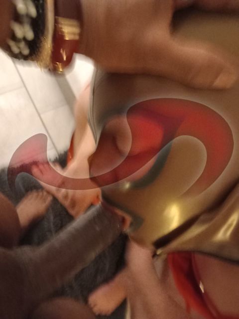 Bild zu Trans Kenia, 22cm!!! Jetzt im Love-Haus