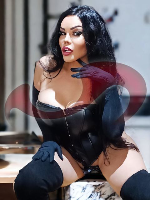 Transsexuelle | Shemales: Bild TS-Paola in Braunau