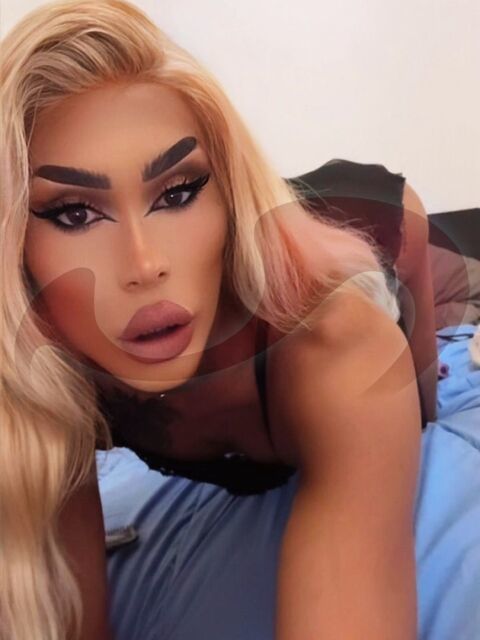 Transsexuelle | Shemales: Bild TS Evelin Star in Wien