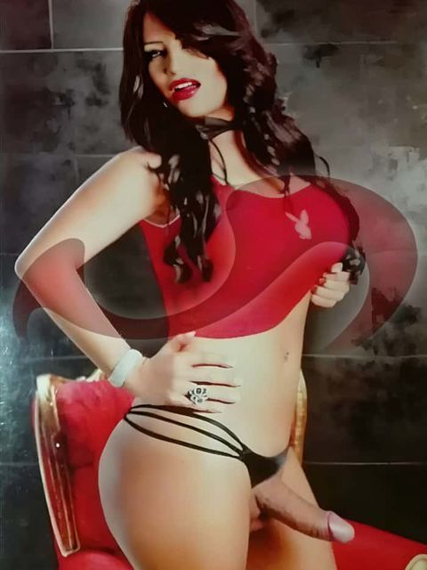 Transsexuelle | Shemales: Bild Pamela TS Brasil   in Braunau