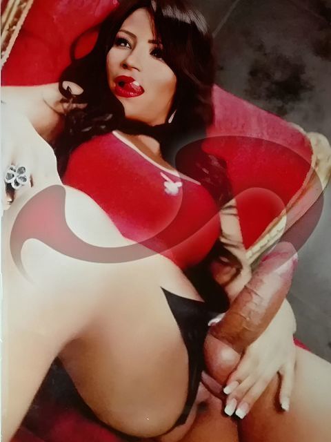 Transsexuelle | Shemales: Bild Pamela TS Brasil   in Braunau