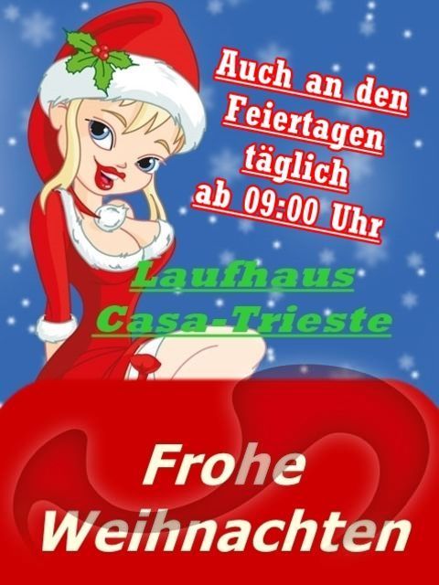 Laufhaus | Laufh�user: Bild Laufhaus Casa-Trieste in Graz