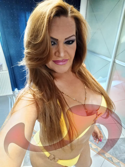 Bild zu TS Belinda