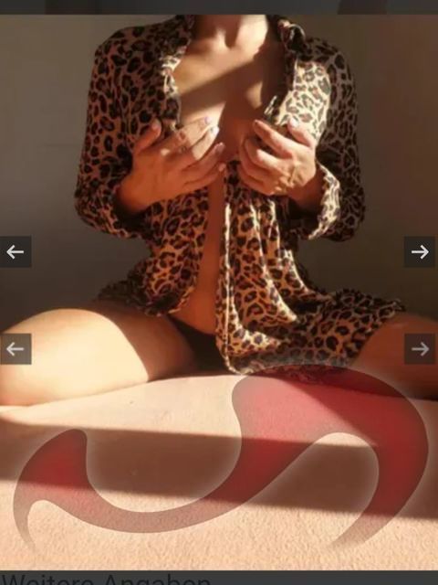 Bild zu Ali Sexy Top Girl Ab Sofort Erstmalig im Laufhaus Liezen!