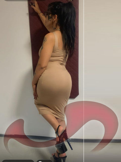 Girls | Models | Callgirls: Bild Laura  in Traun/Wegscheid