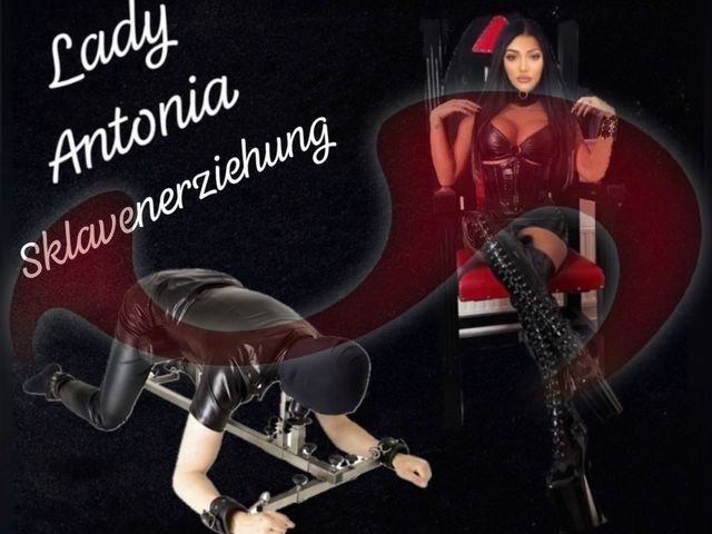 Bild zu Lady Antonia NEU