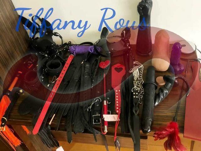 Bild zu TS-Tiffany Rous