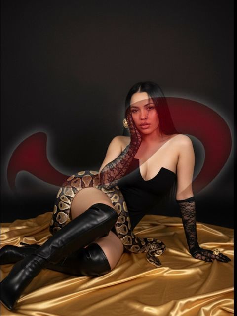 Girls | Models | Callgirls: Bild Daniela, Hot Lady NEU in Salzburg