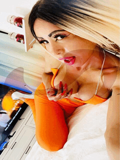 Transsexuelle | Shemales: Bild NEUHEIT - TS Kyara in Salzburg 