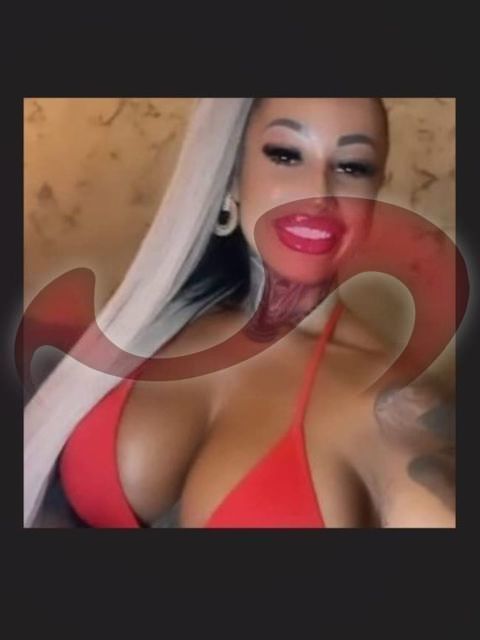 Bild zu Michelle