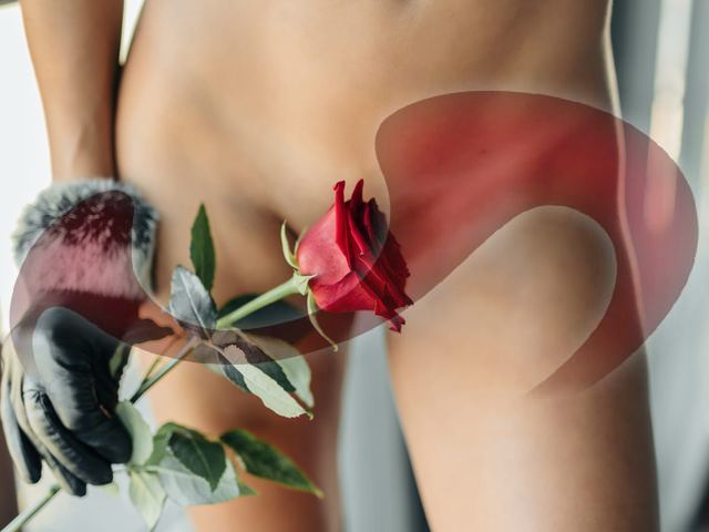 Bild zu Paula Top Lady NEU