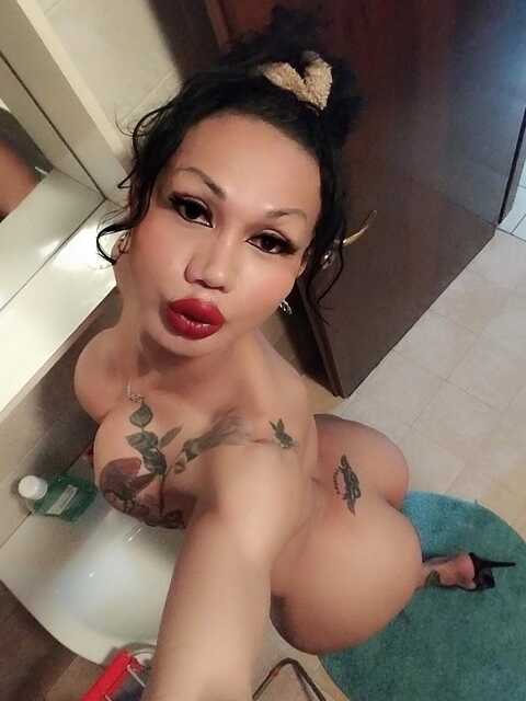 Transsexuelle | Shemales: Bild TS Adriana Paulett + Video in Sulz bei Gleisdorf 