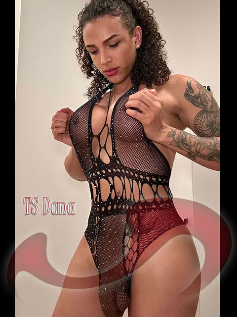 Girls | Models | Callgirls: Bild TS Dana in Wien