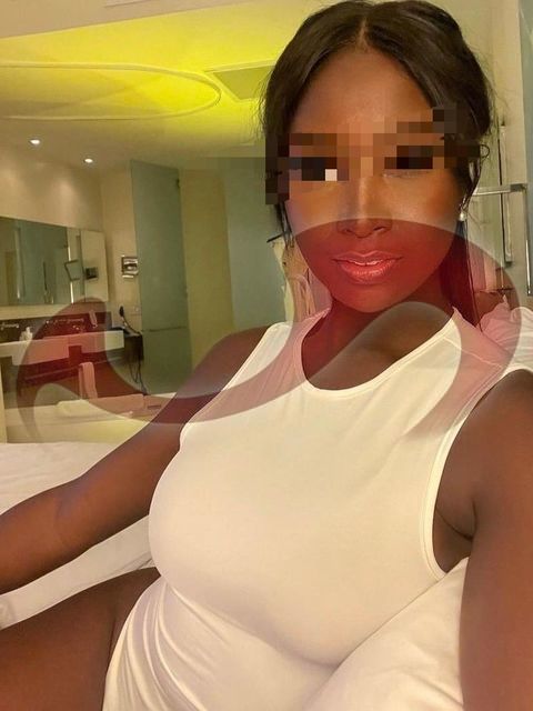 Bild zu Paloma Kuba