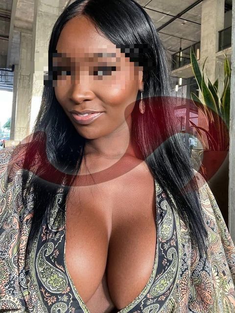 Bild zu Paloma Kuba