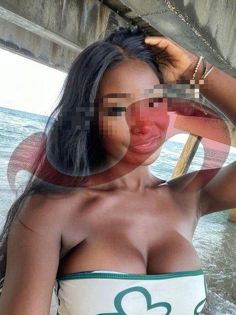 Bild zu Paloma Kuba