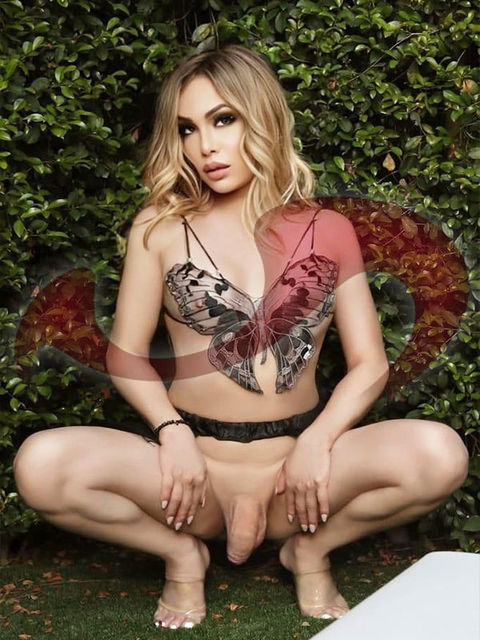Transsexuelle | Shemales: Bild Neu Trans-Nolie in Leobersdorf