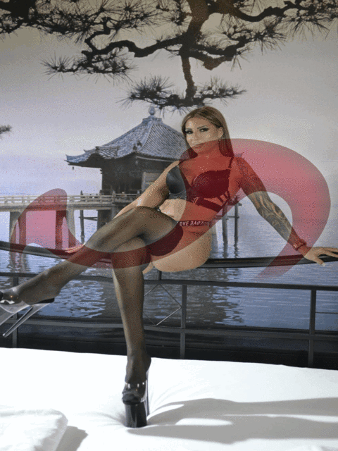 Girls | Models | Callgirls: Bild Carina in Wien