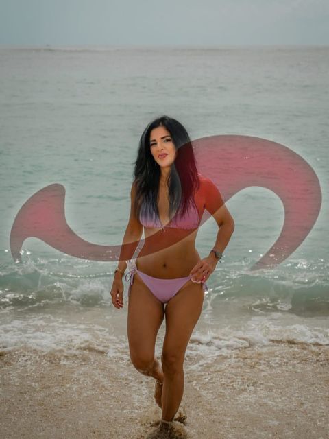 Girls | Models | Callgirls: Bild Honey D.  in Wien 