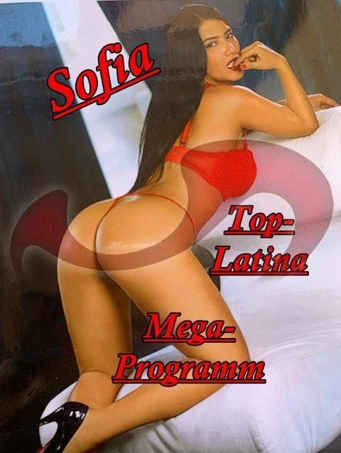 Bild zu Sofia Top Latina NEU