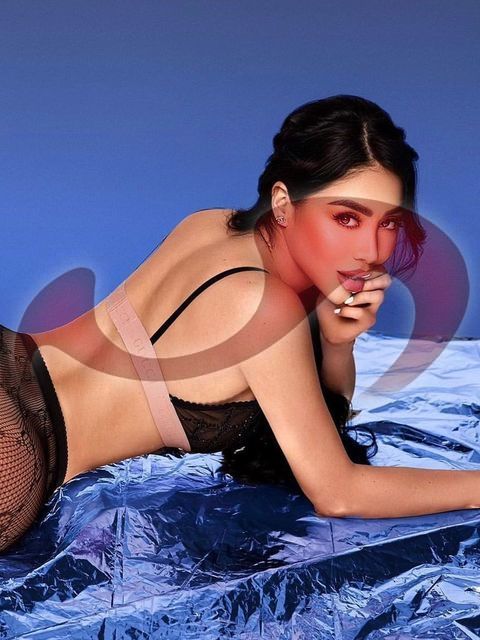 Bild zu Sofia Top Latina NEU