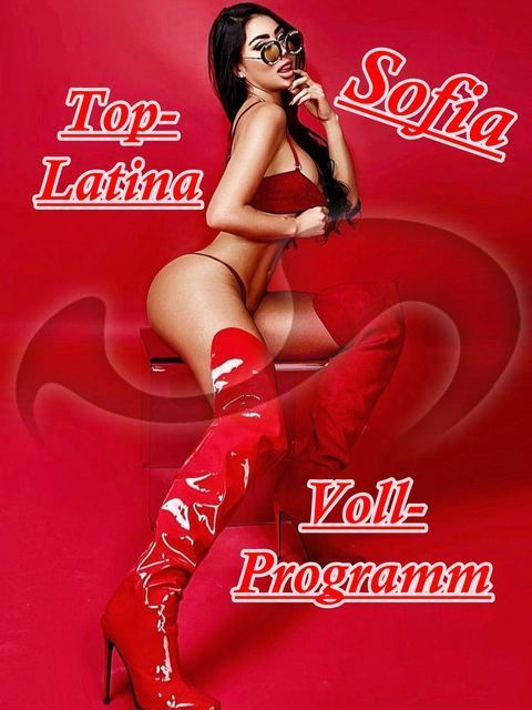 Bild zu Sofia Top Latina NEU