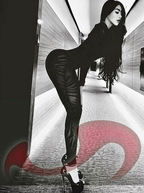 Girls | Models | Callgirls: Bild Sofia - Neu in Pasching