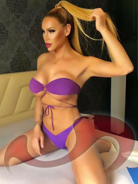 Transsexuelle | Shemales: Bild TS Ebru in Graz