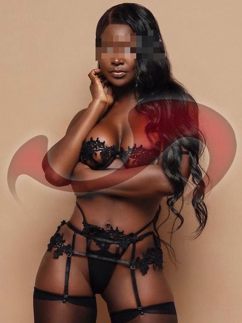 Girls | Models | Callgirls: Bild Paloma in Krems
