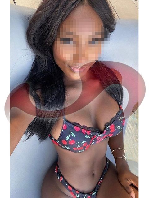 Girls | Models | Callgirls: Bild Paloma in Wien