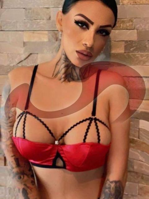 Bild zu Miriam Sexy Top Girl ab 17.08 Erstmalig im Laufhaus Liezen!