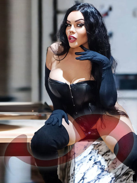 Transsexuelle | Shemales: Bild TS Alessia in Haid bei Ansfelden