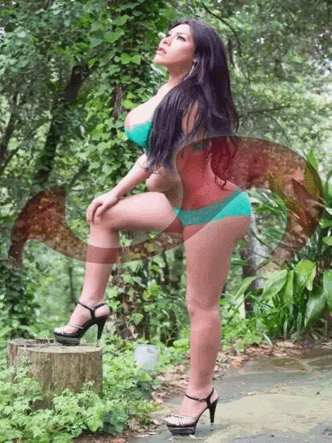 Transsexuelle | Shemales: Bild TS Nathalia in Wien