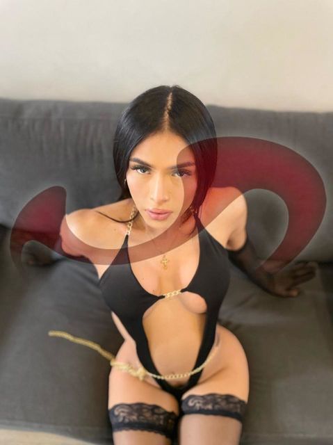 Transsexuelle | Shemales: Bild TS Ashley Capri in Wien 