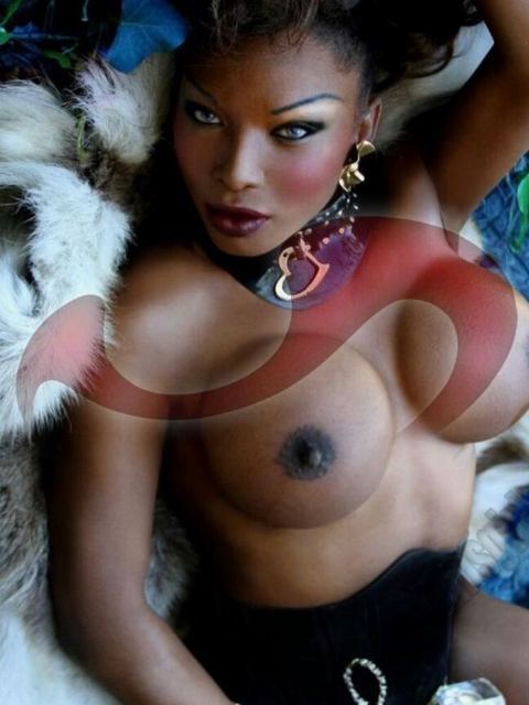 Transsexuelle | Shemales: Bild TS Pornstar Bigdick BBC 27cm - Partygirl + Video  in Wien