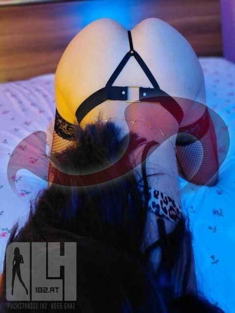 Girls | Models | Callgirls: Bild Daniela in Graz