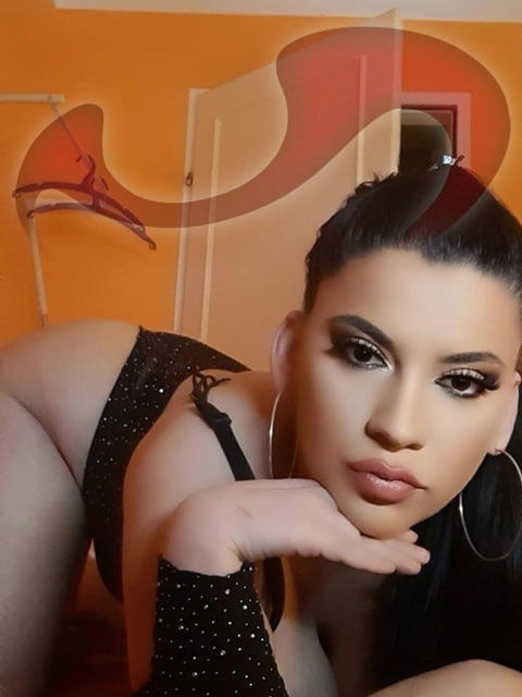 Girls | Models | Callgirls: Bild Christina - NEU IM HAUS! in Linz Girls | Models | Callgirls: Bild Christina - NEU IM HAUS! in Linz