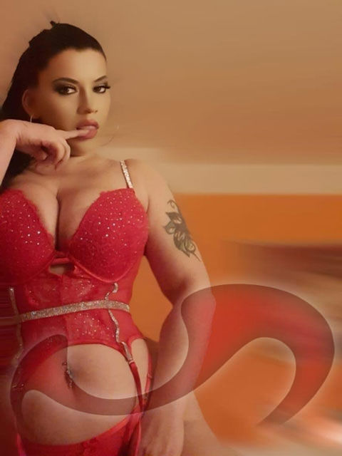 Girls | Models | Callgirls: Bild Christina - NEU IM HAUS! in Linz Girls | Models | Callgirls: Bild Christina - NEU IM HAUS! in Linz