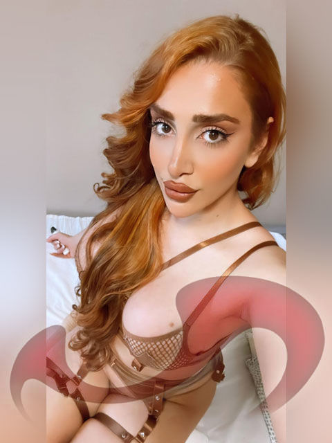 Transsexuelle | Shemales: Bild TS Jenny in Haid bei Ansfelden